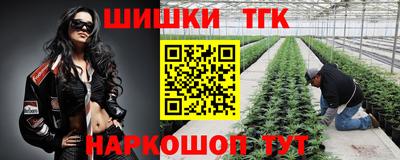 индика Кунгур