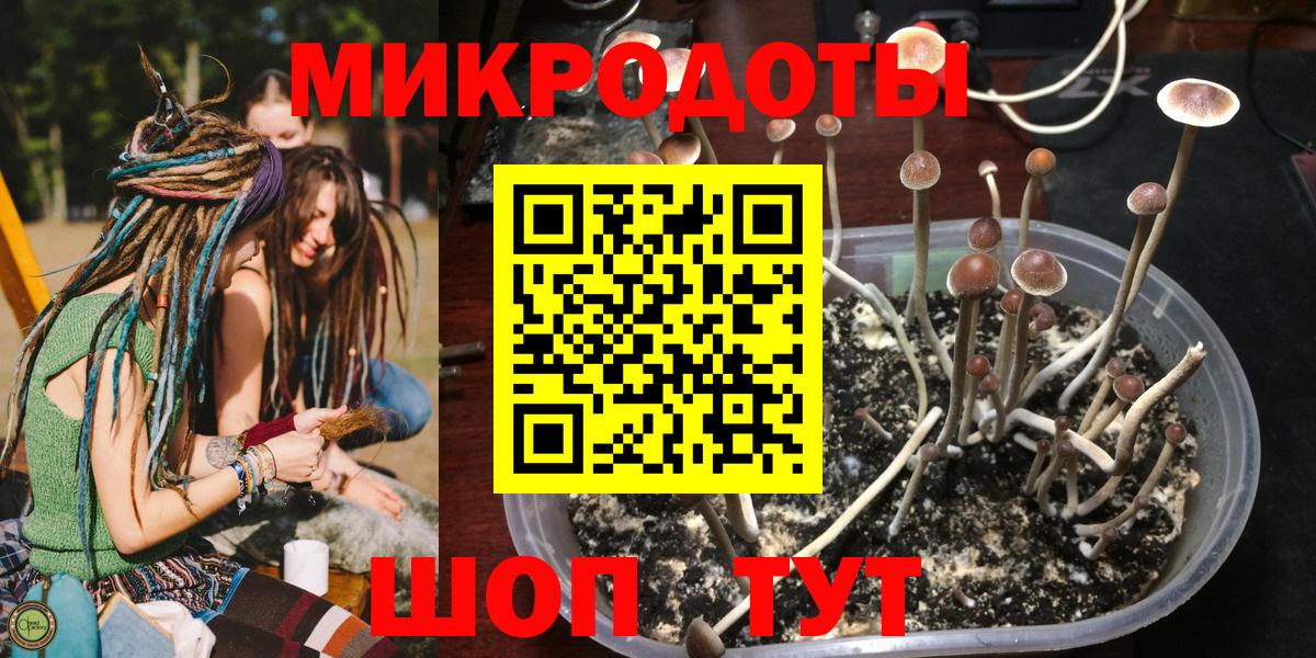 Псилоцибиновые грибы прущие грибы Йошкар-Ола